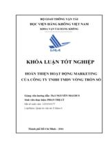 Hoàn thiện hoạt động marketing của công ty TNHH TMDV Vòng Tròn Số 