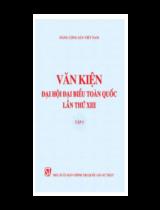 Văn kiện đại hội đại biểu toàn quốc lần thứ XIII  : Tập 1 